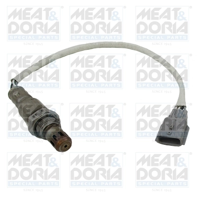 Oxygen Sensor